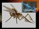 A sculpted "flying spider bug" boss character, and a digitally painted version of the same.
