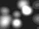 grey blobs, with concentric darker rings, merging together when they touch.