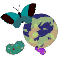 a planet, a butterfly, and some microbes
