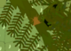 A small orange 8-legged mite on a frond-y background.